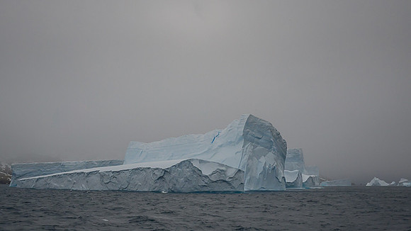 Icebergs, South Georgia