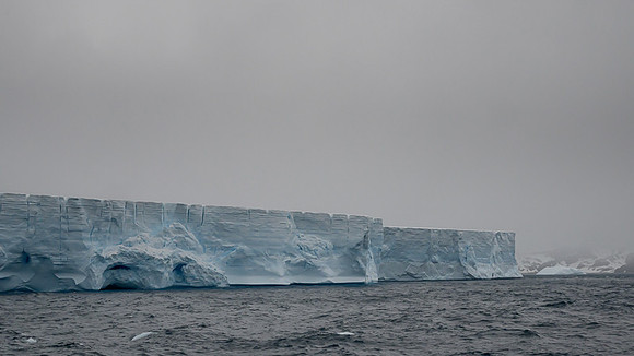 Icebergs, South Georgia
