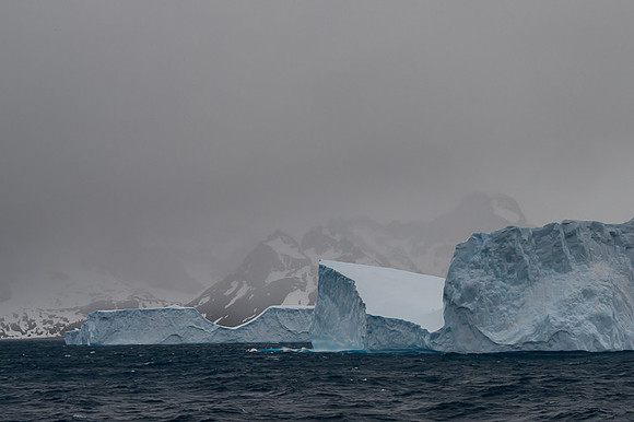 Icebergs, South Georgia