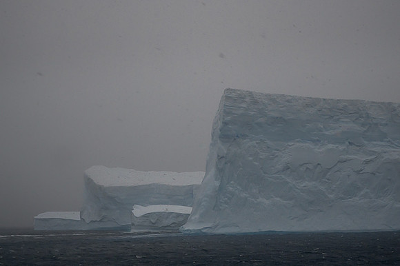 Icebergs, South Georgia