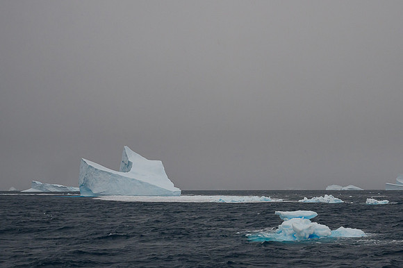 Icebergs, South Georgia