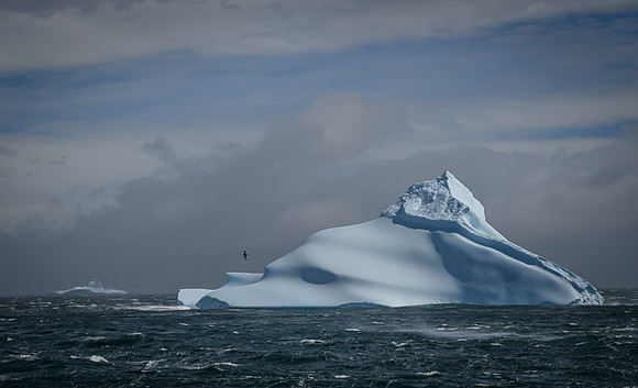 Icebergs, South Georgia