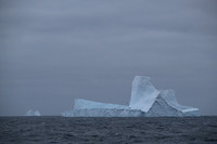 Icebergs, South Georgia
