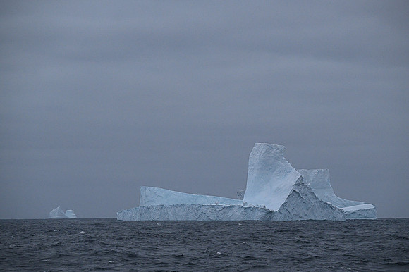 Icebergs, South Georgia