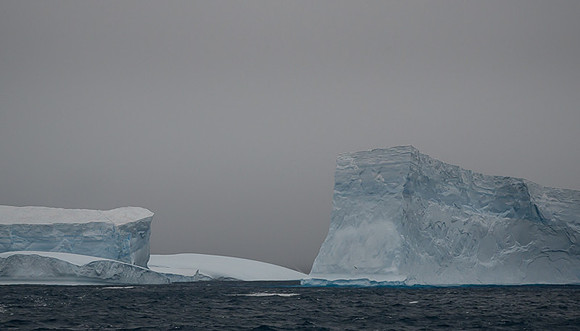 Icebergs, South Georgia