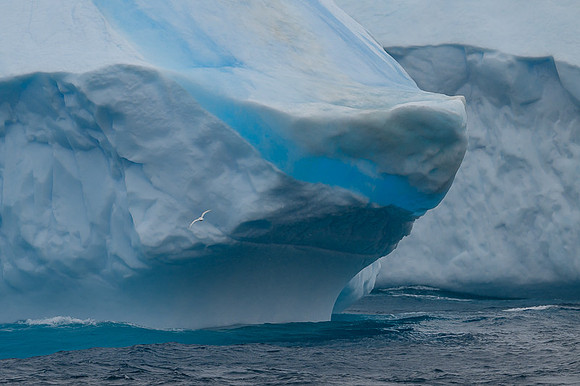 Icebergs, South Georgia