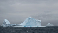 Icebergs, South Georgia
