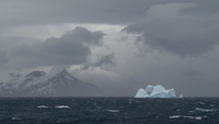 Icebergs, South Georgia