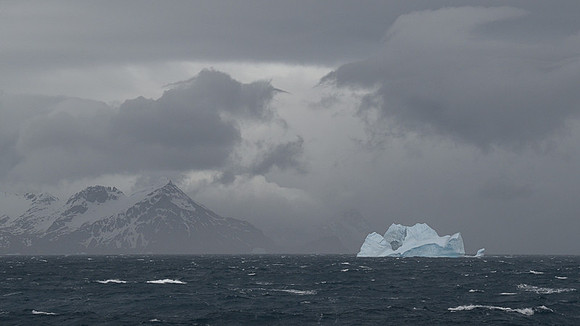Icebergs, South Georgia