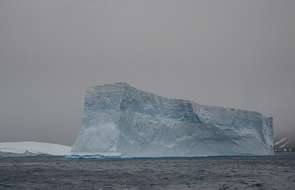 Icebergs, South Georgia