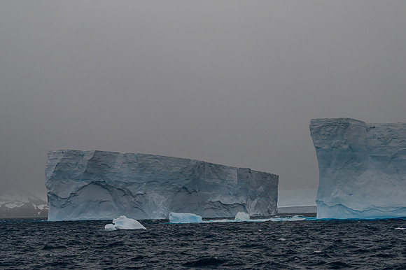 Icebergs, South Georgia