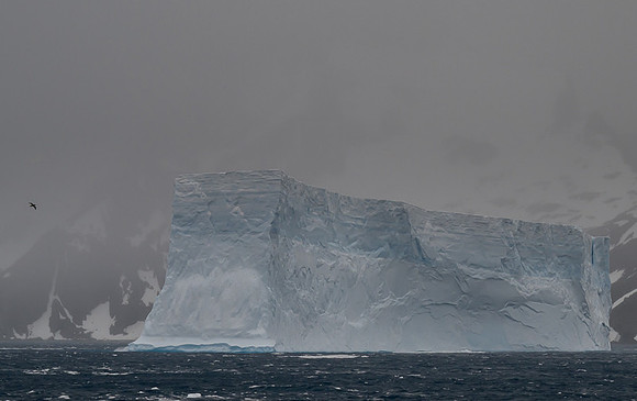 Icebergs, South Georgia