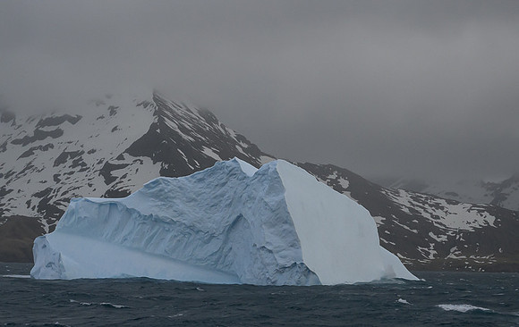 Icebergs, South Georgia