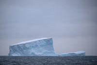 Icebergs, South Georgia