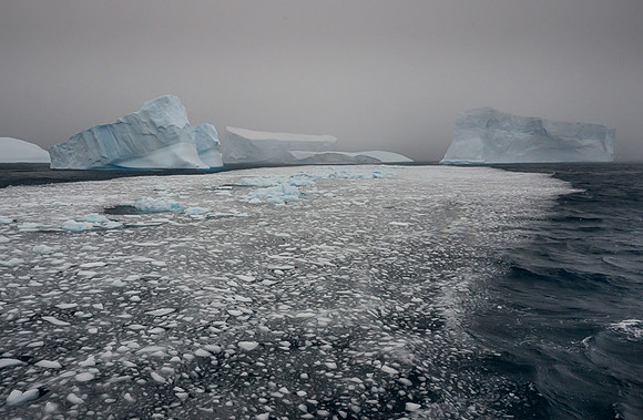 Icebergs, South Georgia