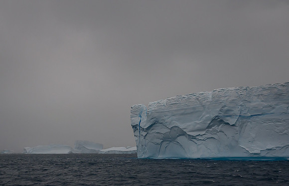 Icebergs, South Georgia