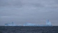 Icebergs, South Georgia