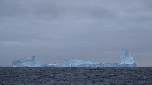 Icebergs, South Georgia
