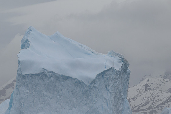 Icebergs, South Georgia