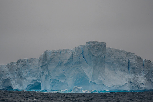 Icebergs, South Georgia