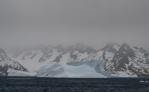 Icebergs, South Georgia