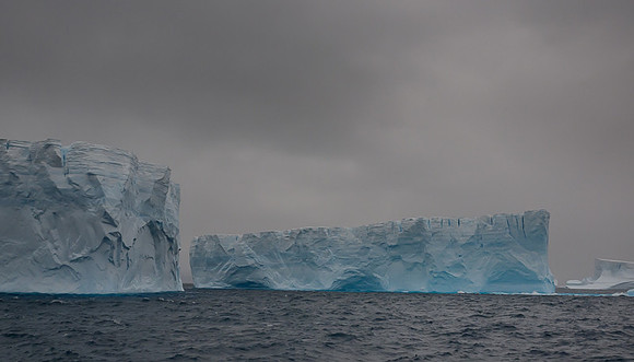 Icebergs, South Georgia