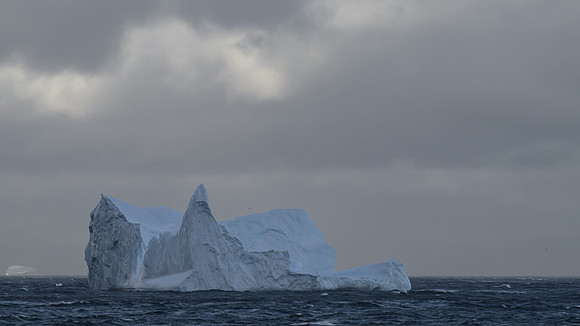 Icebergs, South Georgia
