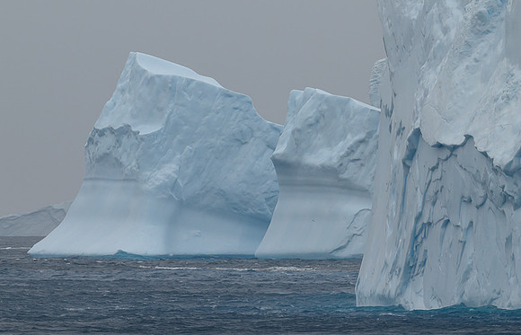 Icebergs, South Georgia