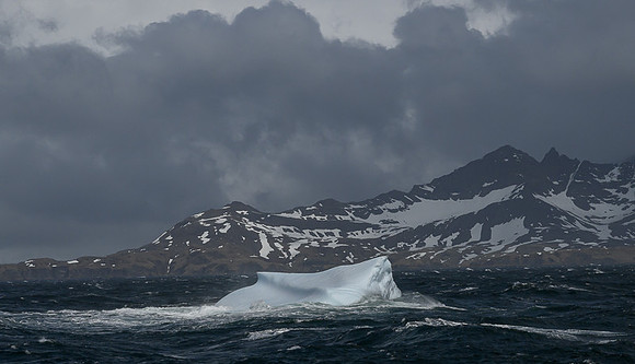Icebergs, South Georgia