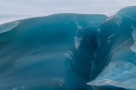 Icebergs, South Georgia