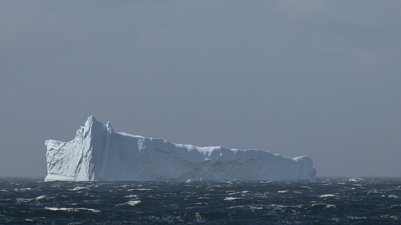 Icebergs, South Georgia
