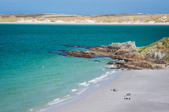 Falkland Islands