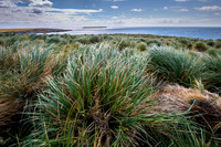 Falkland Islands