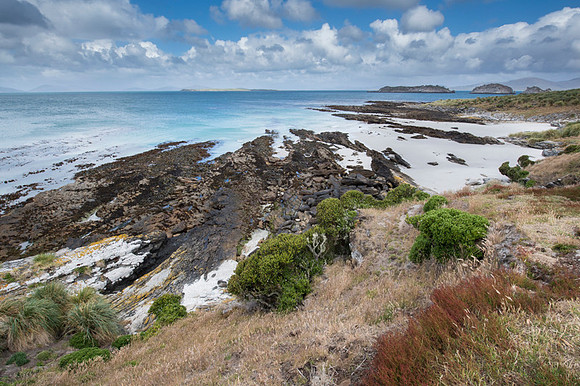 Falkland Islands