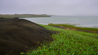 Pribilof Islands
