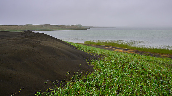Pribilof Islands