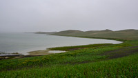 Pribilof Islands