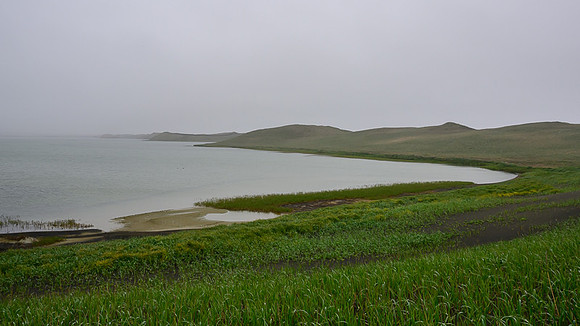 Pribilof Islands