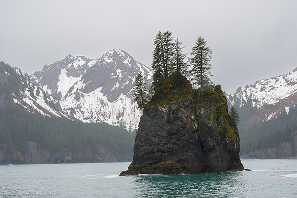 Kenai Fjords