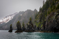 Kenai Fjords