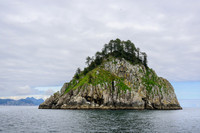 Kenai Fjords