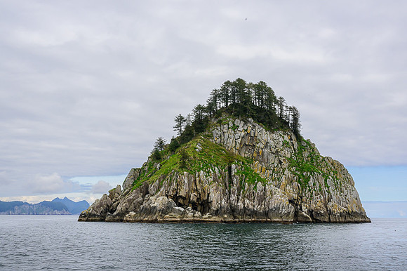 Kenai Fjords