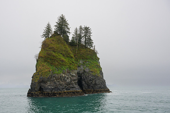 Kenai Fjords