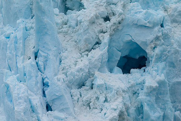 Kenai Fjords