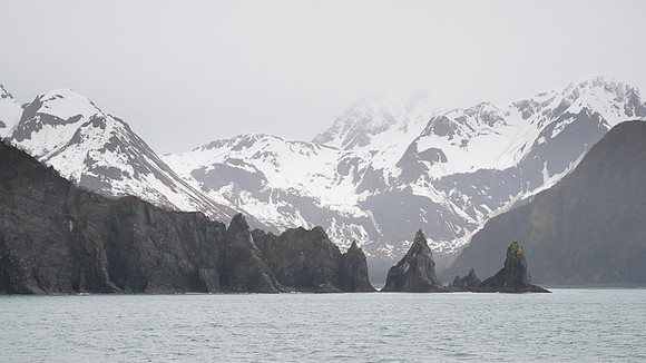 Kenai Fjords