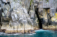 Kenai Fjords
