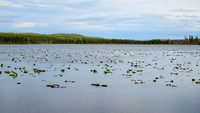 South Alaska