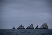 South Georgia