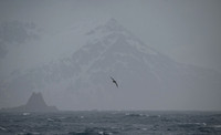 South Georgia