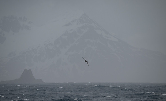 South Georgia